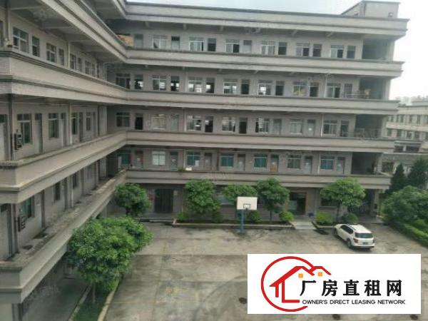  长安乌沙新出800平价格便宜水电齐全厂房出租仓库出租