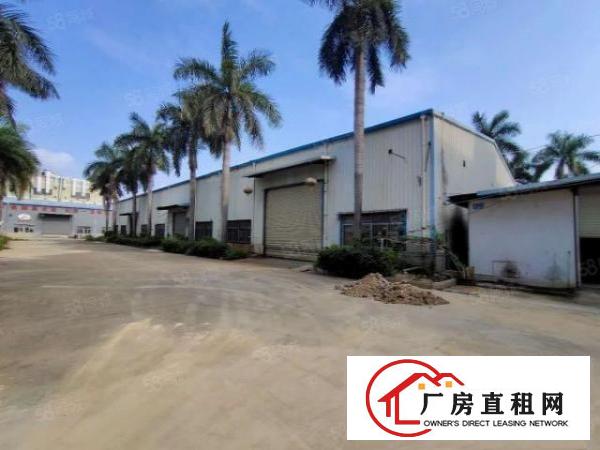  长安镇新出单一层独院厂房