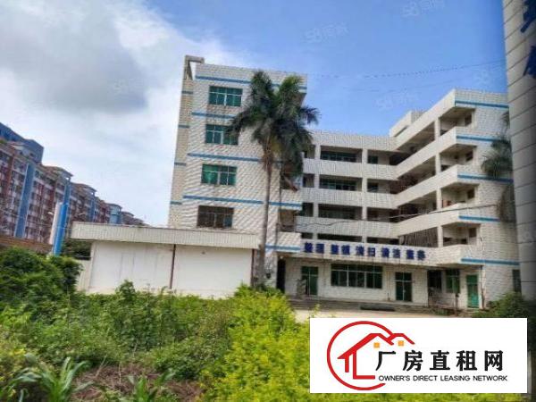  长安镇新出单一层独院厂房