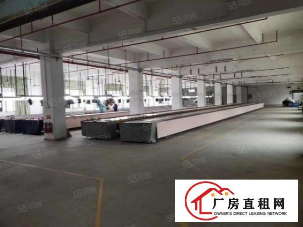  长安镇乌沙新出原房东豪华独院1到3楼5800平方火爆招租