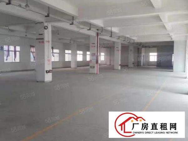  长安镇乌沙新出原房东豪华独院1到3楼5800平方火爆招租