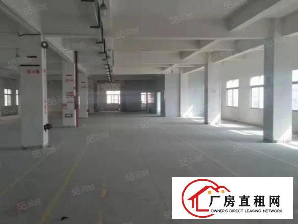  长安镇乌沙新出原房东豪华独院1到3楼5800平方火爆招租