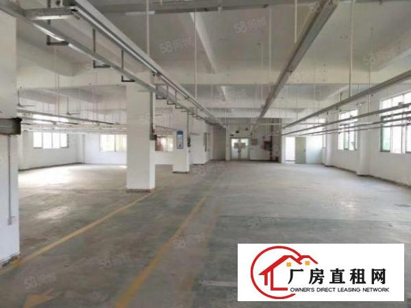  长安镇乌沙新出原房东豪华独院1到3楼5800平方火爆招租