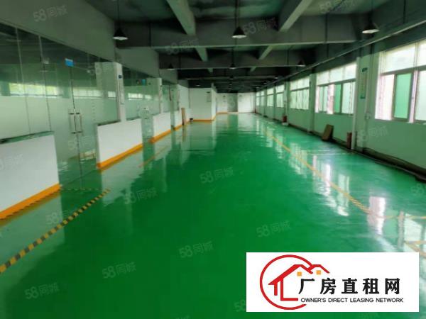  长安镇乌沙新出原房东豪华独院1到3楼5800平方火爆招租