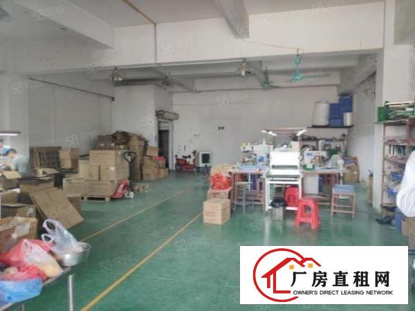  厦岗楼上260平方现成装修小面积厂房出租