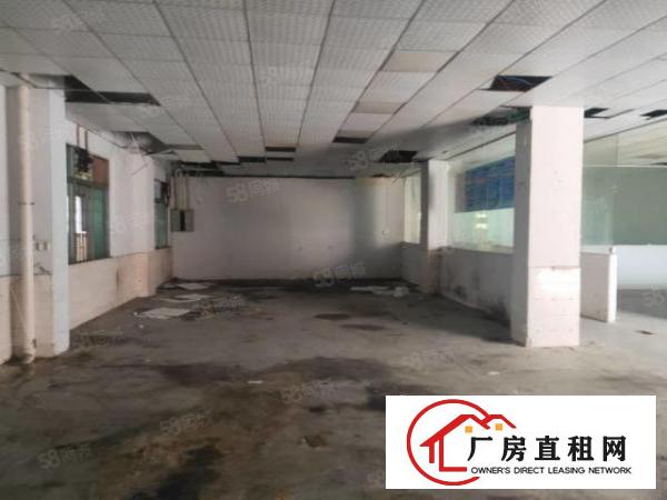  长安镇新空出标准一楼320平方水电齐全无转让费（可办环评）