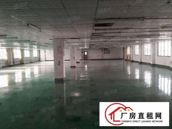  长安沙头楼上新出1800平方全新地评漆厂房