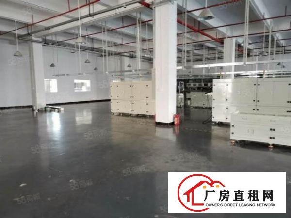  长安上沙独独院19500平重工业厂房出租分租贸易仓库出租