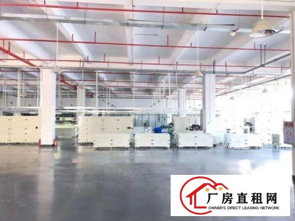  长安上沙独独院19500平重工业厂房出租分租贸易仓库出租