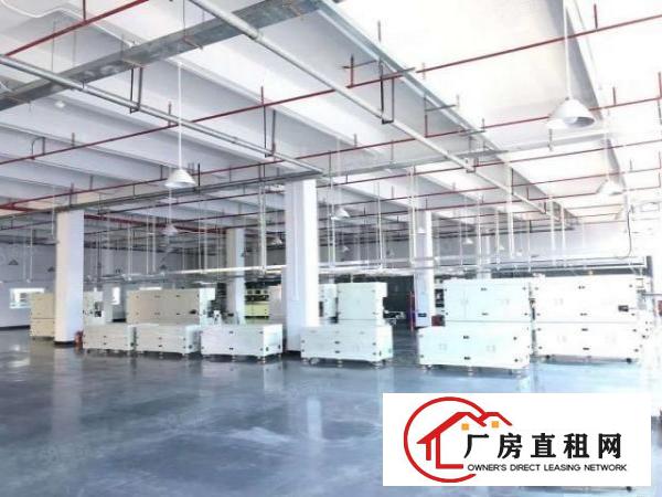  长安上沙独独院19500平重工业厂房出租分租贸易仓库出租