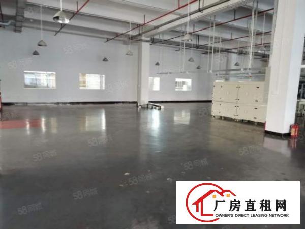  长安上沙独独院19500平重工业厂房出租分租贸易仓库出租