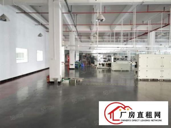  长安上沙独独院19500平重工业厂房出租分租贸易仓库出租