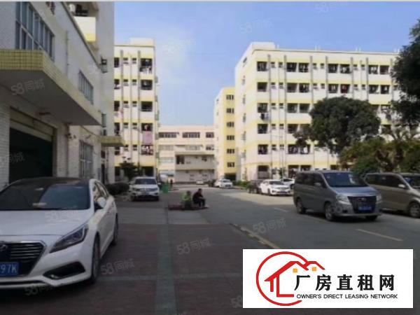  长安镇乌沙出租二楼800平厂房有办公室装修形象好可分租