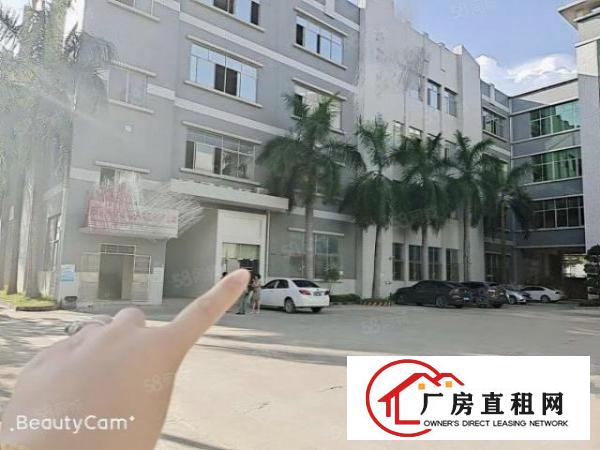  长安镇沙头原房东厂房一楼出租