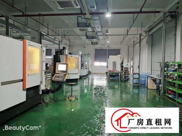  长安镇沙头原房东厂房一楼出租