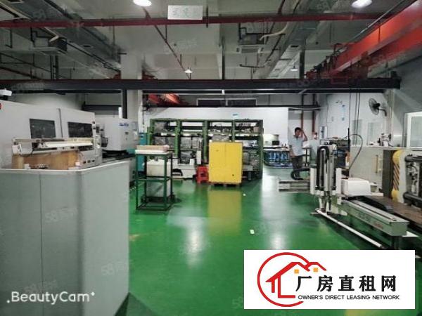  长安镇沙头原房东厂房一楼出租