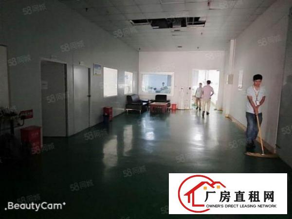  长安镇沙头原房东厂房一楼出租