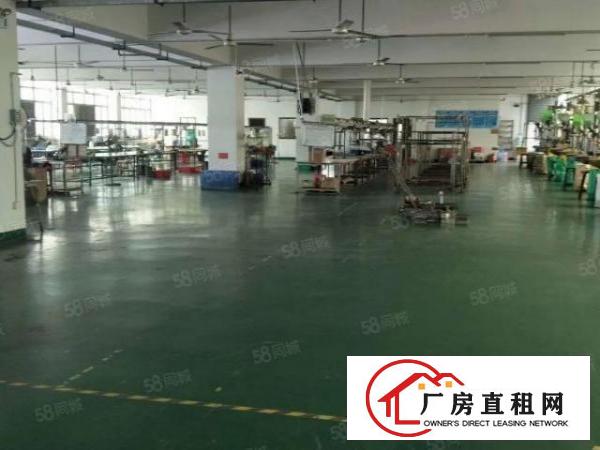  乌沙新出楼上无公摊豪华装修厂房1000平出租