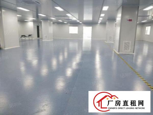  精装修无尘车间2650平米，设备齐全，拎包入住，离高速出口近