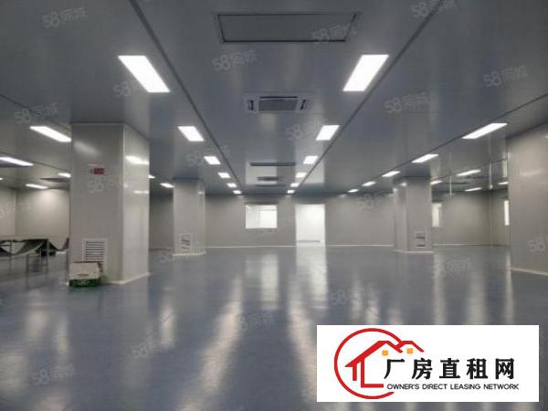 精装修无尘车间2650平米，设备齐全，拎包入住，离高速出口近