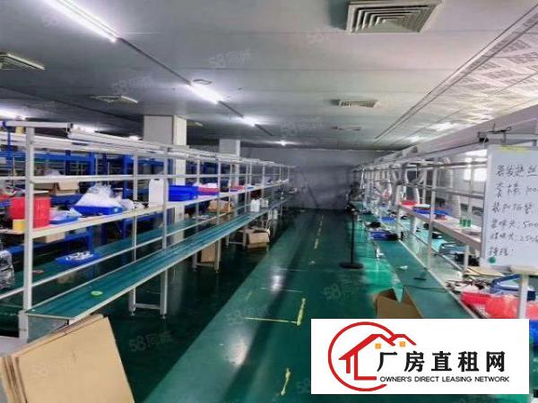  长安沙头新出楼上1000平园区面积大精装修水电齐全