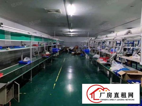  长安沙头新出楼上1000平园区面积大精装修水电齐全
