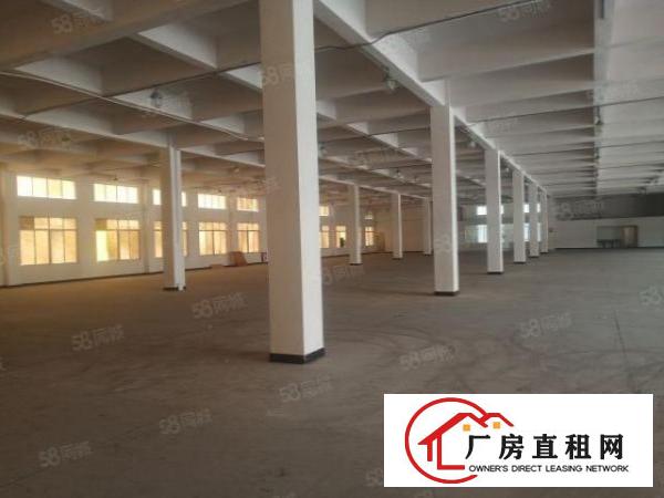  长安镇沙头两层独院8200平方火爆招租超大空地无公摊