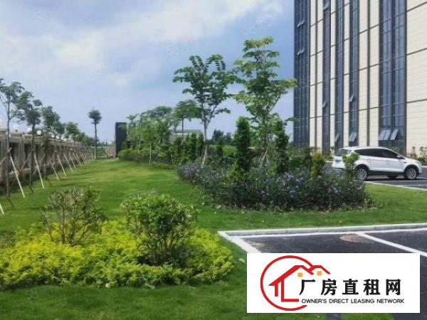  长安镇滨海湾新区花园式科创园50000平出租，可按需分租