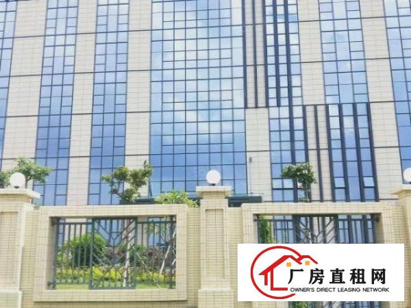  长安镇滨海湾新区花园式科创园50000平出租，可按需分租