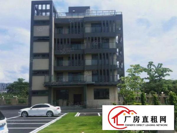  长安镇滨海湾新区花园式科创园50000平出租，可按需分租