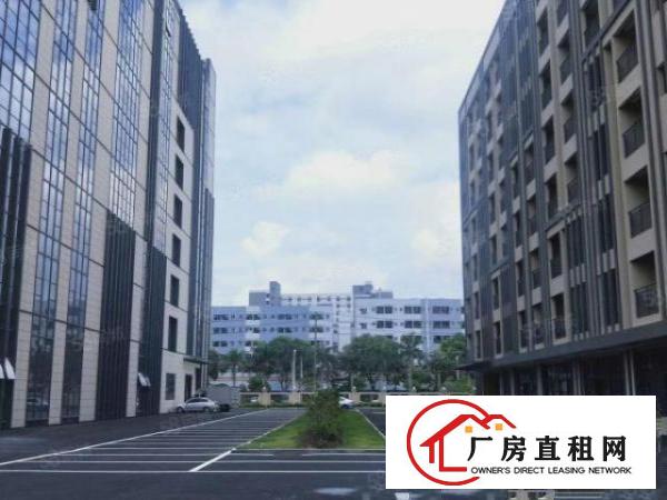  长安镇滨海湾新区花园式科创园50000平出租，可按需分租