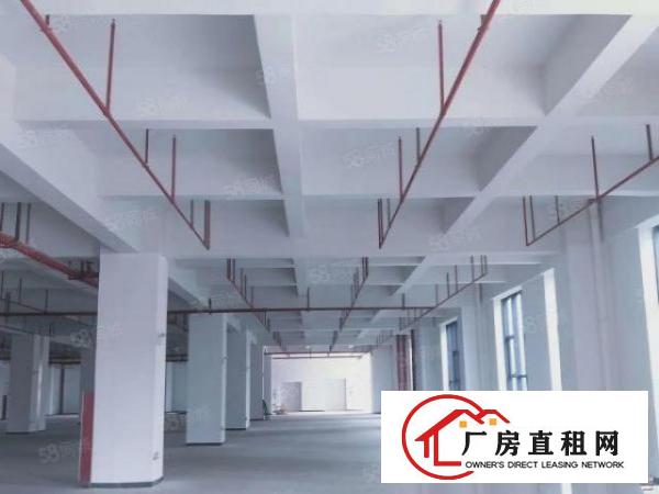  长安镇滨海湾新区花园式科创园50000平出租，可按需分租