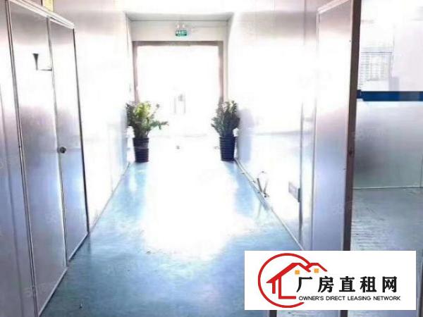  长安乌沙新空出1050平厂房，豪华装修，水电齐全