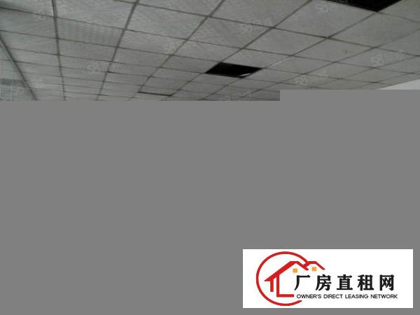  长安镇沙头豪华小独院1到2楼1900平方低价出租面积无公摊