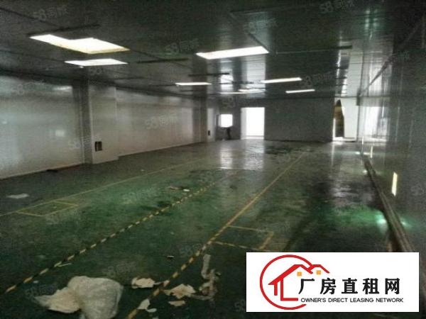  长安涌头原房东厂房出租！！