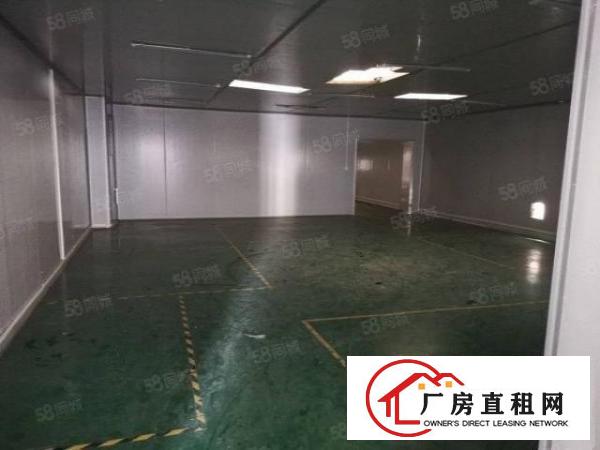  长安涌头原房东厂房出租！！