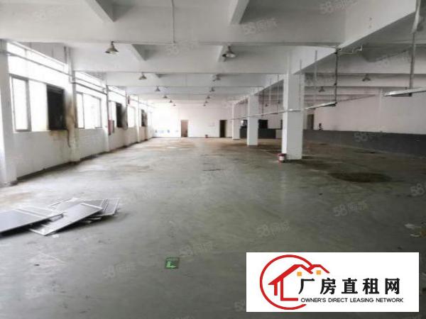  长安涌头原房东厂房出租！！
