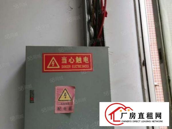  长安涌头原房东厂房出租！！