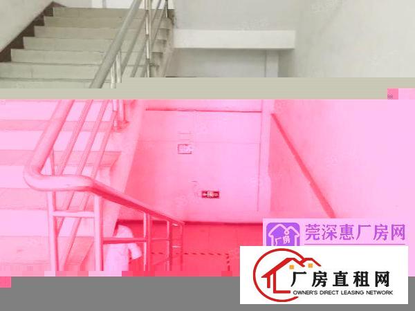  锦厦新出独门独院厂房