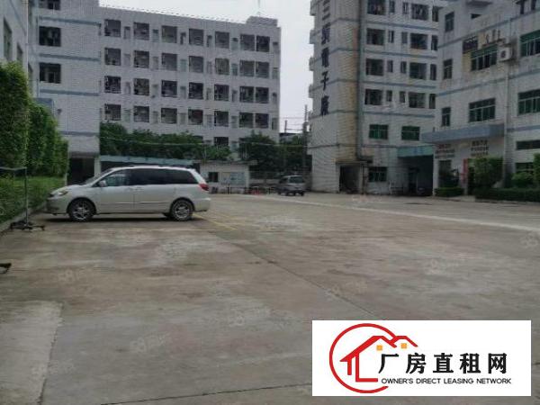  锦厦新出独门独院厂房