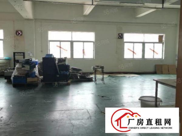  锦厦新出独门独院厂房