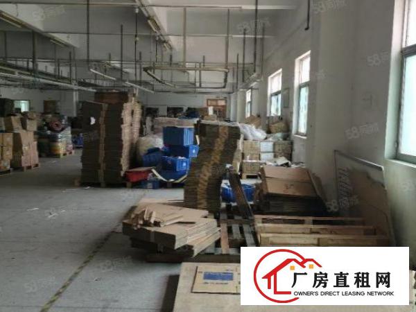  锦厦新出独门独院厂房