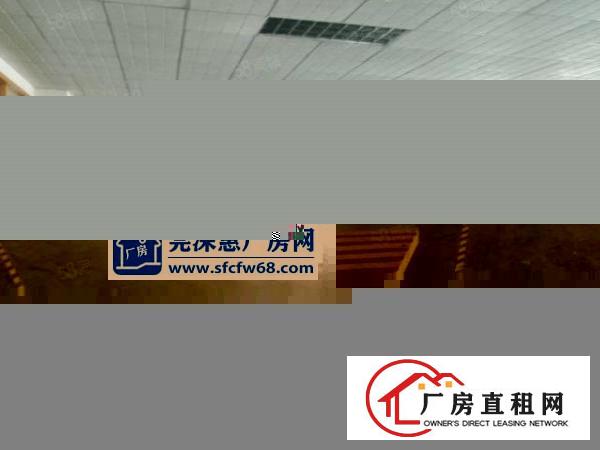  锦厦新出独门独院厂房