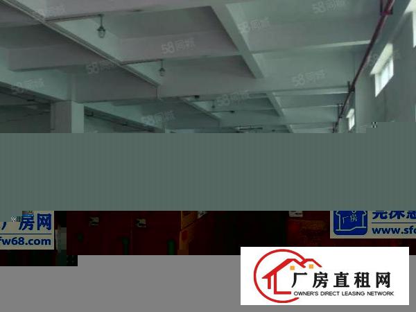  锦厦新出独门独院厂房