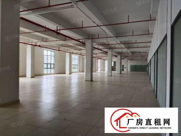  厂房出租东莞长安沙区新出2层4480方，水电齐全，环境宽敞