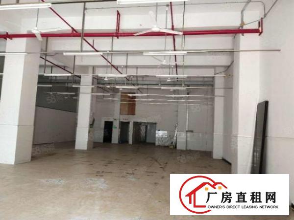  厂房出租东莞长安沙区新出2层4480方，水电齐全，环境宽敞