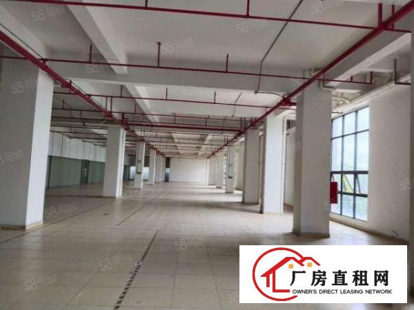  厂房出租东莞长安沙区新出2层4480方，水电齐全，环境宽敞