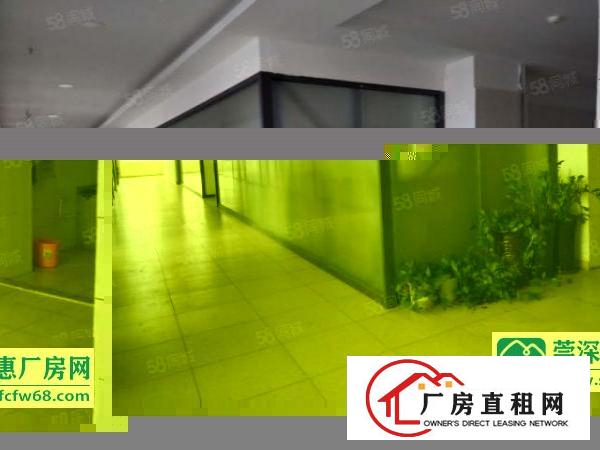  厂房出租东莞长安沙区新出2层4480方，水电齐全，环境宽敞