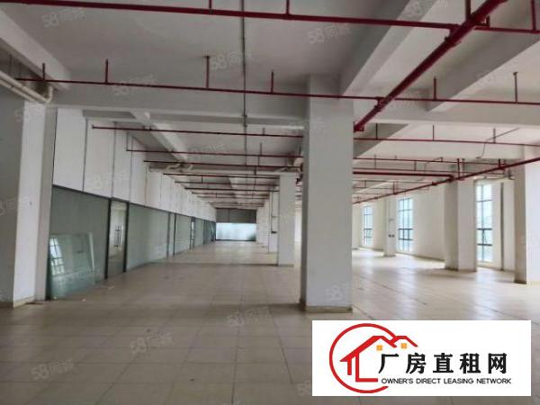  厂房出租东莞长安沙区新出2层4480方，水电齐全，环境宽敞