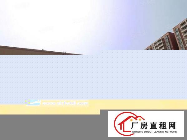  长安沙头村建安路2245平米超低价便宜厂房业主直租，清盘特价